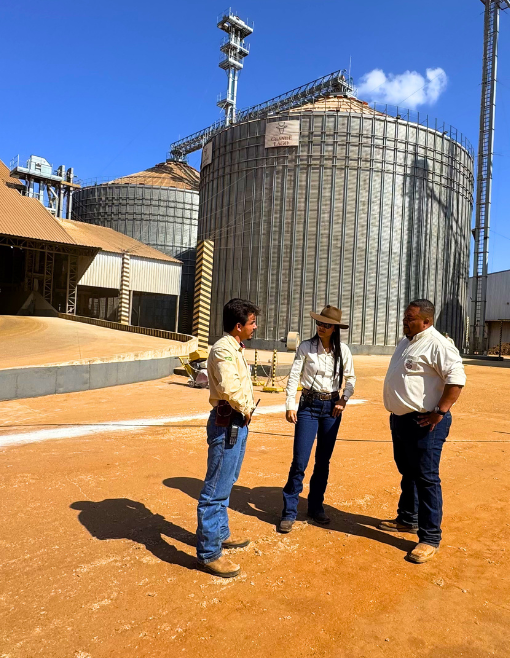 Estrutura - Agropecuária Grande Lago
